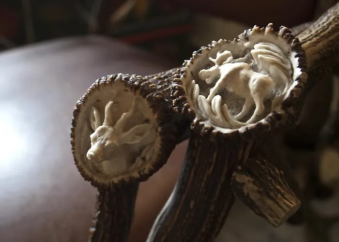 Bed and breakfast Orla